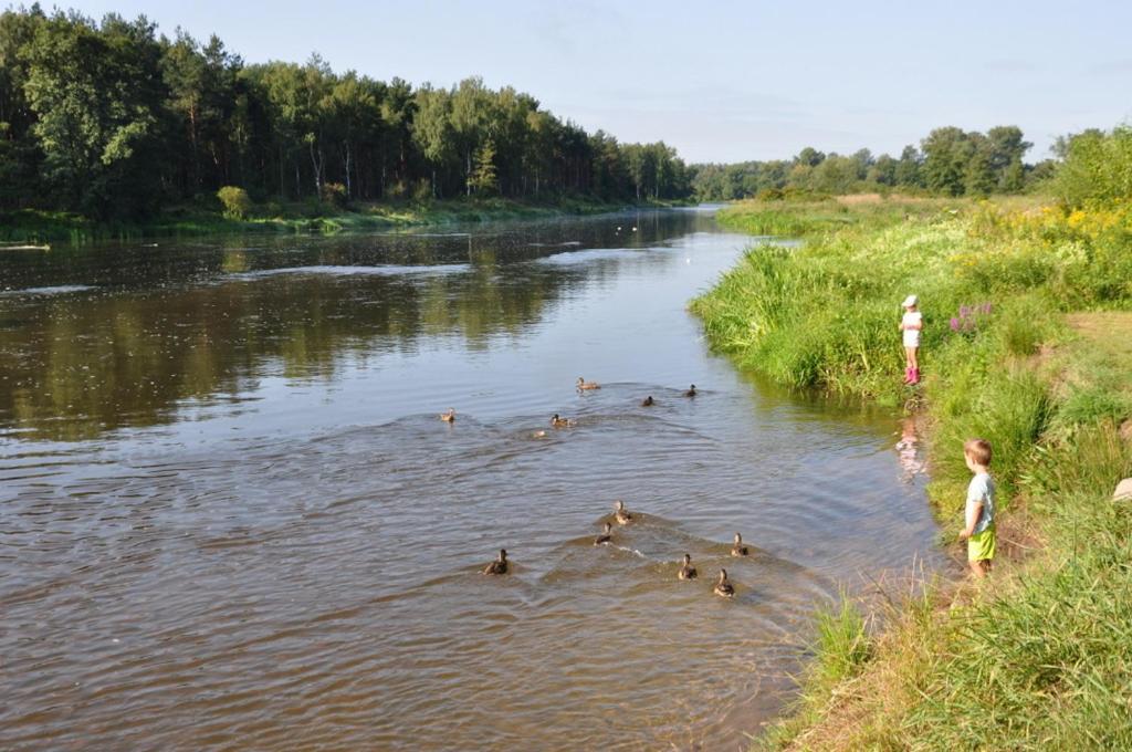 Willa Amber Zakosciele Inowlodz Экстерьер фото